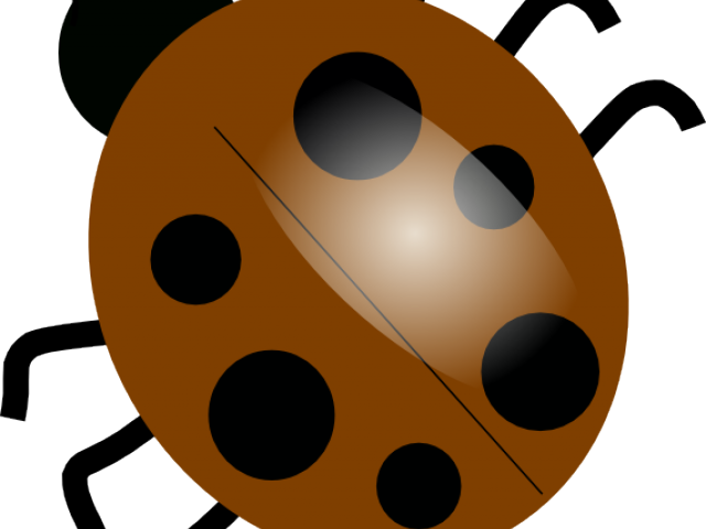 Ladybug Clipart Brown - Dibujo De Un Mariquita (640x480), Png Download