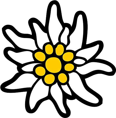 Edelweiss Png (960x662), Png Download