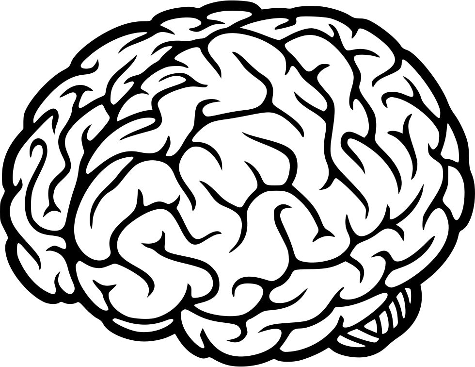 Png File Svg - Brain Drawing Transparent Background (980x756), Png Download
