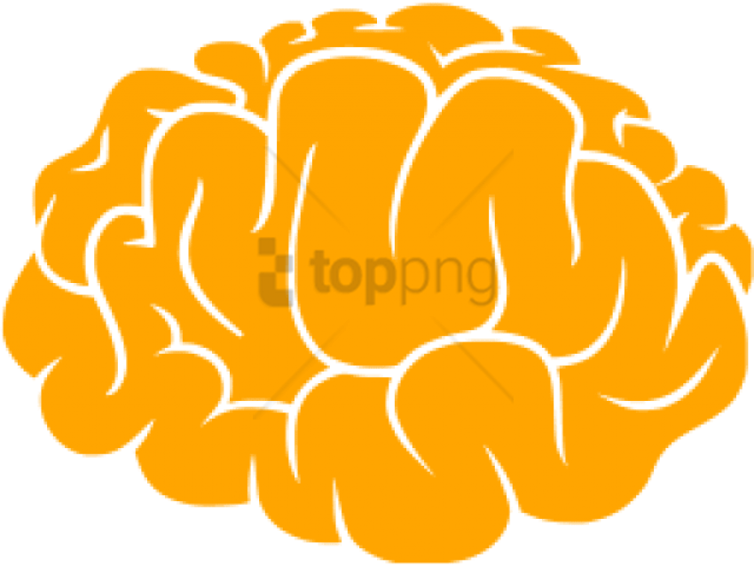 Brain Clipart Icon - Transparent Brain Icon Png (640x480), Png Download