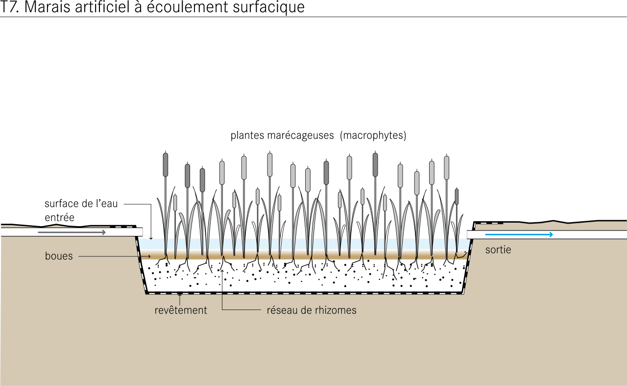 Free Water Surface Constructed Wetland Diagram Fr - Flow Constructed Wetland (1280x787), Png Download