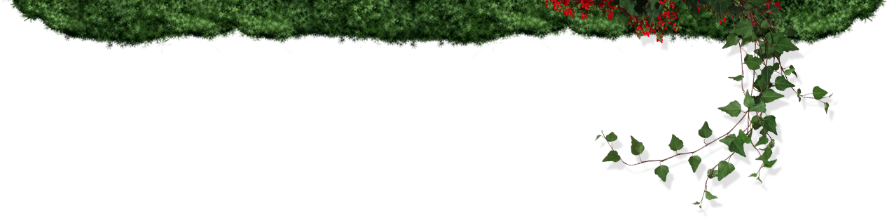 Outdoor Kitchens, Retaining Walls, Dry Creek Beds And - Grass (1266x311), Png Download