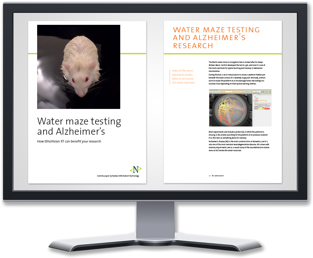 Morris Water Maze (1200x936), Png Download