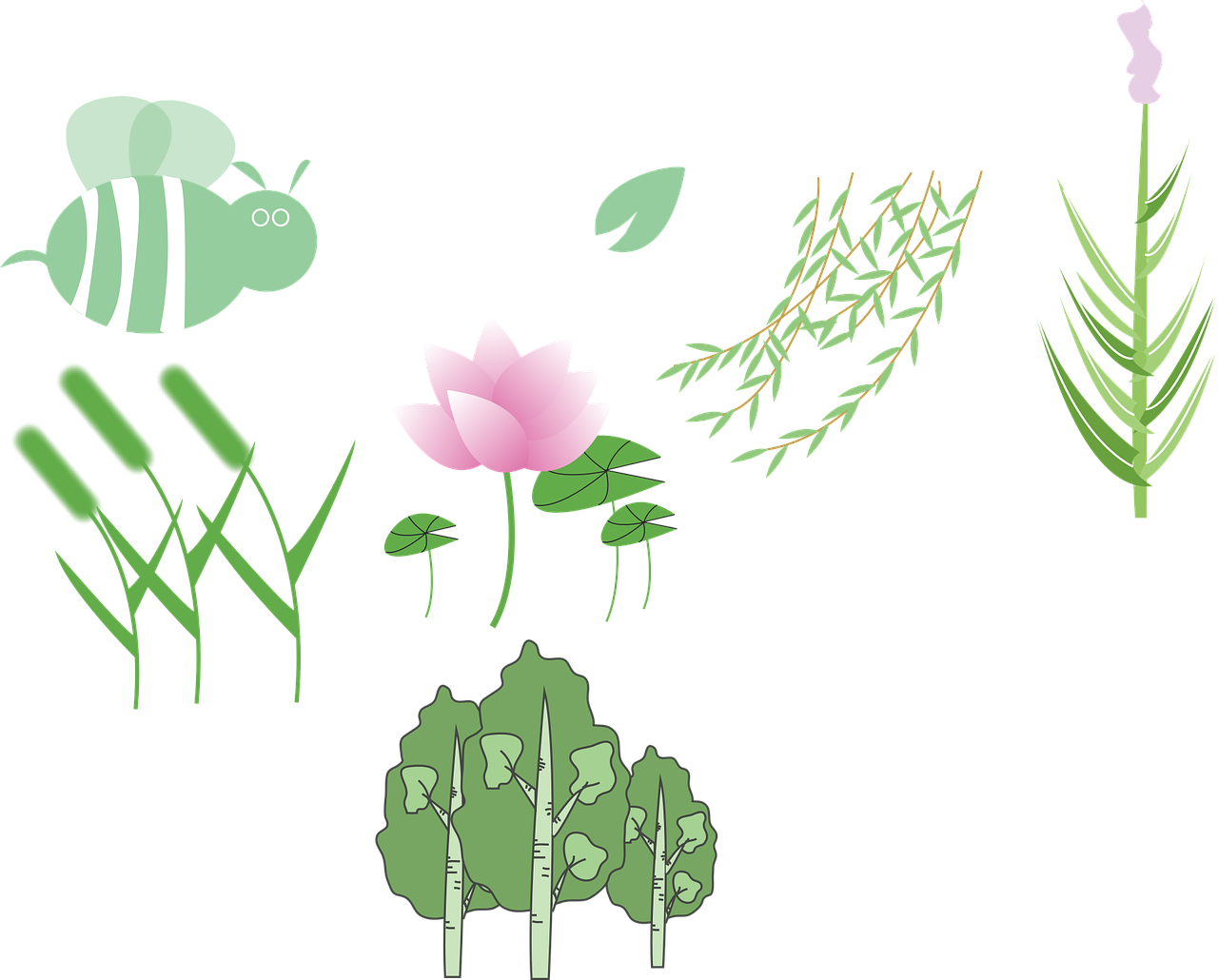 Plant,lotus,wicker,free Vector Graphics,free Pictures, - Sacred Lotus (1280x1030), Png Download