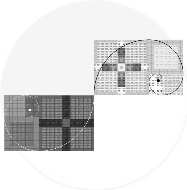 Fibonacci Spiral Organization Of I Ching Codes - Circle (635x643), Png Download