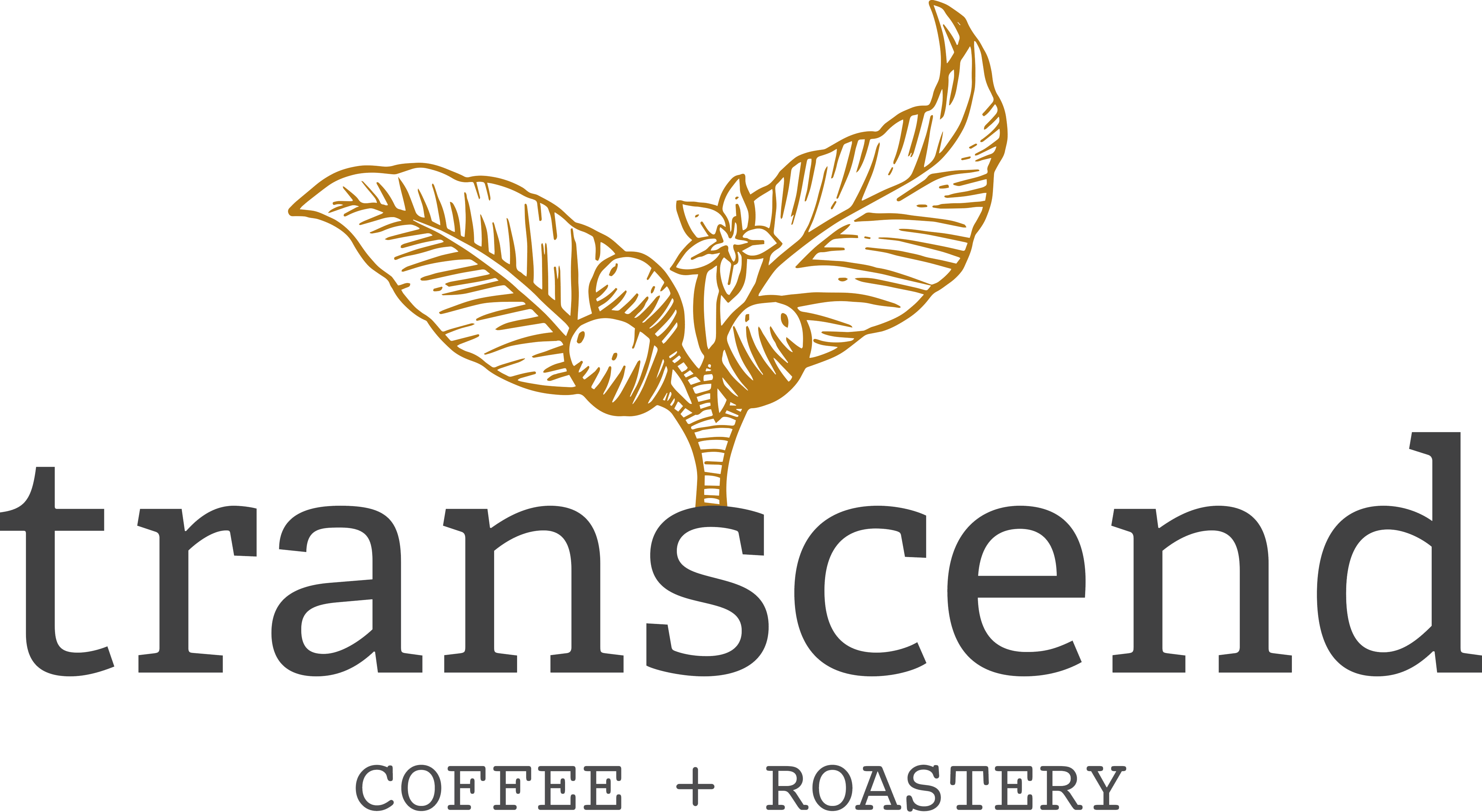 Transcend Coffee Prospective Staff Survey - Transcend Coffee Logo (4388x2405), Png Download