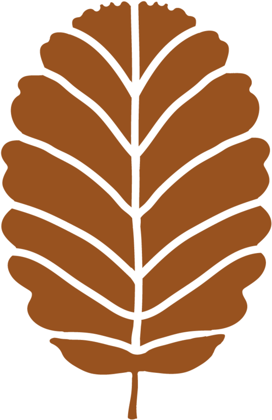 Hoja Y Arbol T-32 - Illustration (1000x1001), Png Download