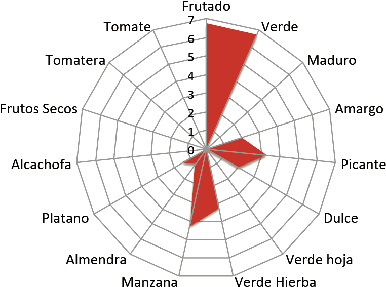 Spider Web Silhouette (909x606), Png Download