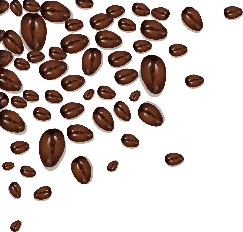 Coffee Bean Cafe Cocoa Bean - Coffee (2362x2362), Png Download