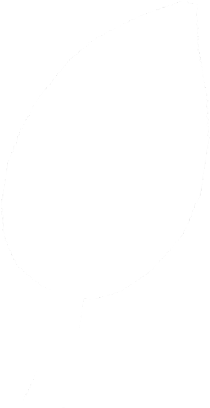 Leaf Simple - Circle (1181x1181), Png Download