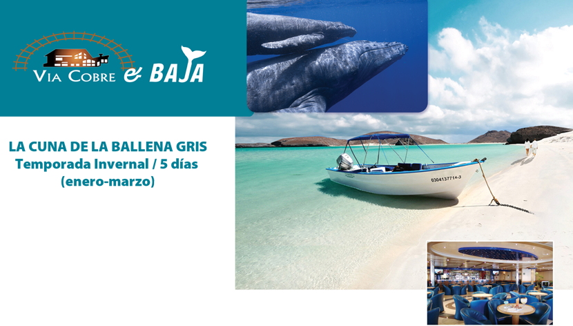 T Baja Cuna De La Ballena - Boat (830x472), Png Download