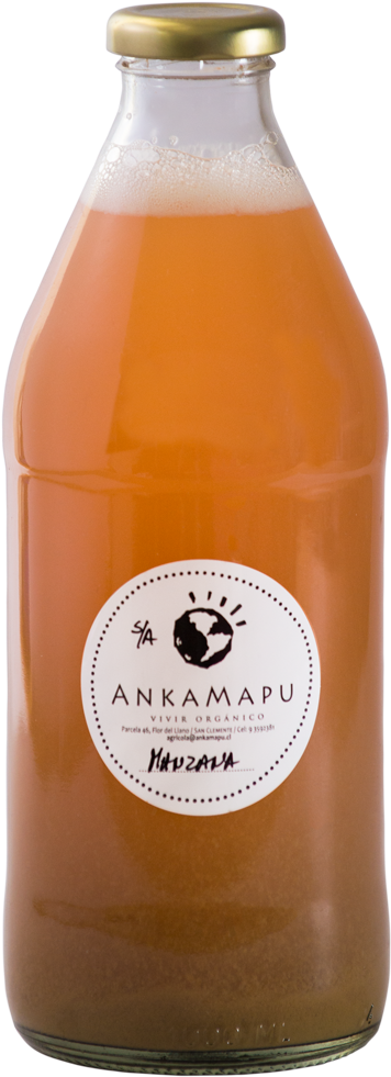 Jugo Manzana - Orange Soft Drink (1100x1100), Png Download