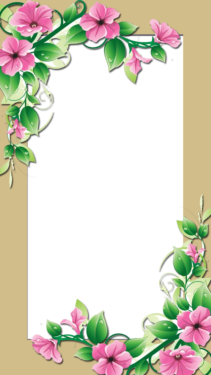 Flower Frame - Flower Frame Clip Art Border (720x1280), Png Download