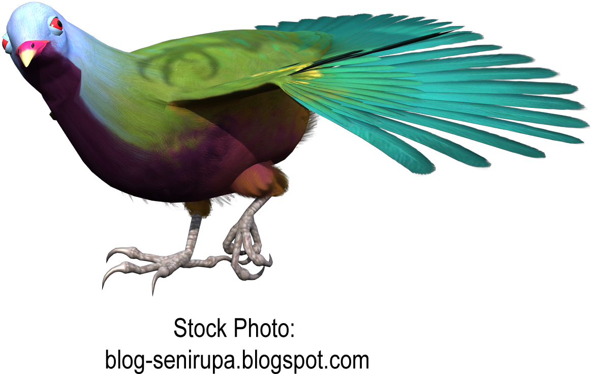 Goose Macaw Bird Gulls Beak Free Png Hq Clipart - Parakeet (1374x953), Png Download