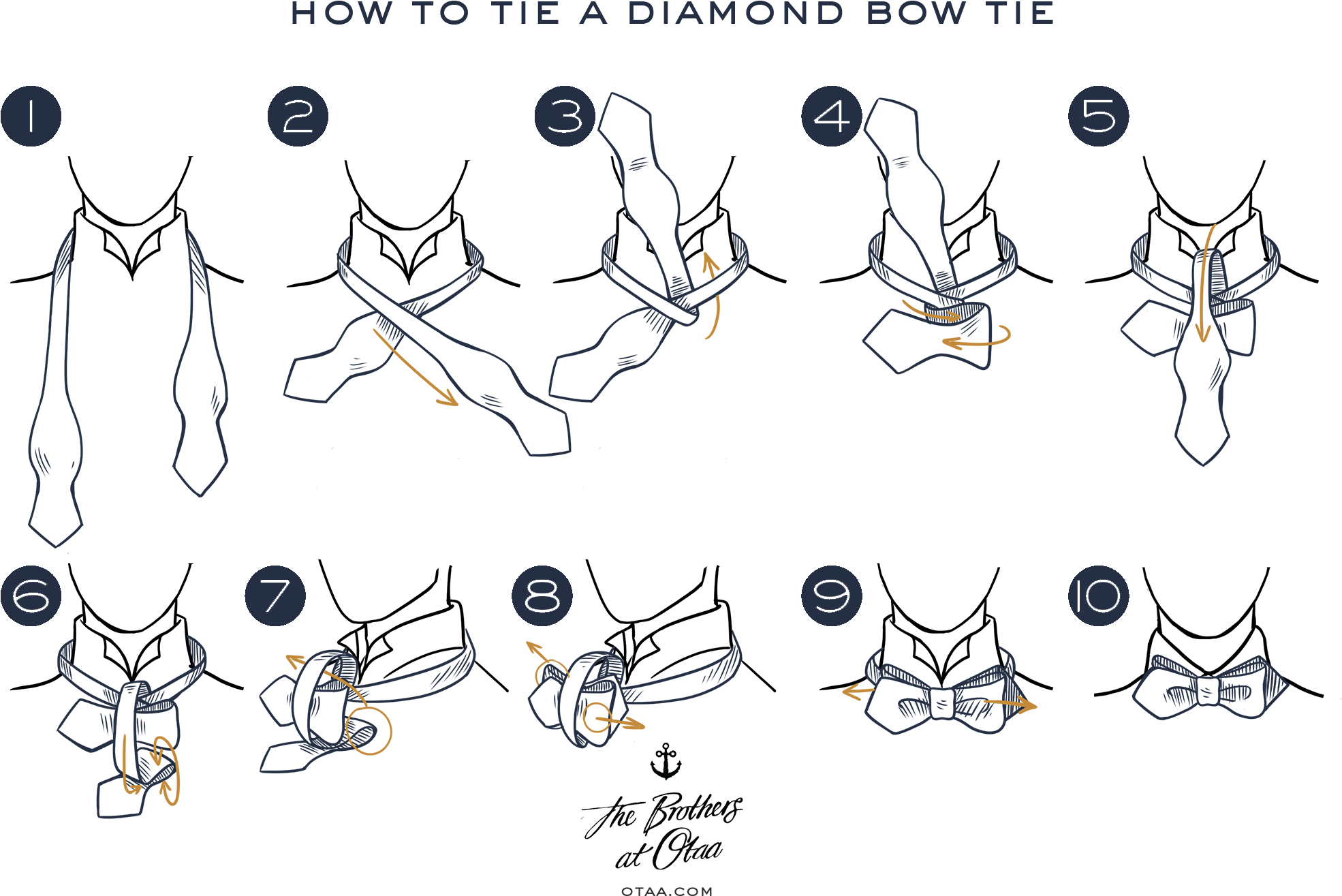 Download How To Tie A Diamond Bow Tie Cartoon Transparent PNG