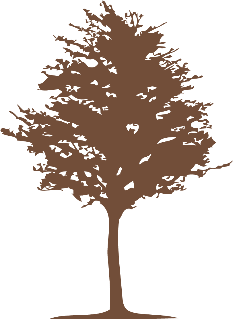 Graphic Trees Images - Logo Holz Design (1152x1370), Png Download