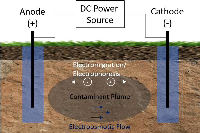 The Flow Of Charged Particles Between The Anode And - Grass (776x530), Png Download