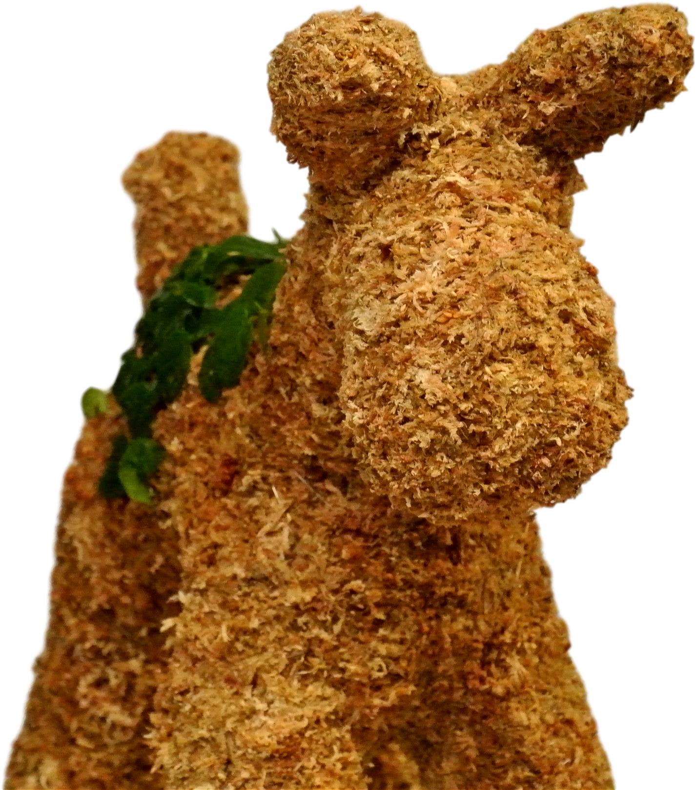 Schnauzer Topiary Frame Stuffed With Long Fiber Sphagnum - Statue (2504x1878), Png Download