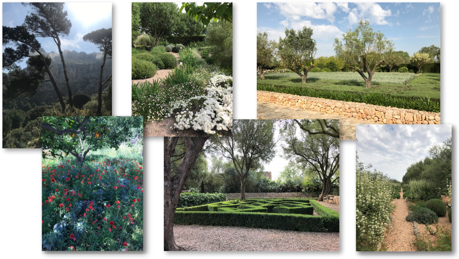 2019 Mallorca Hl - Botanical Garden (1500x844), Png Download
