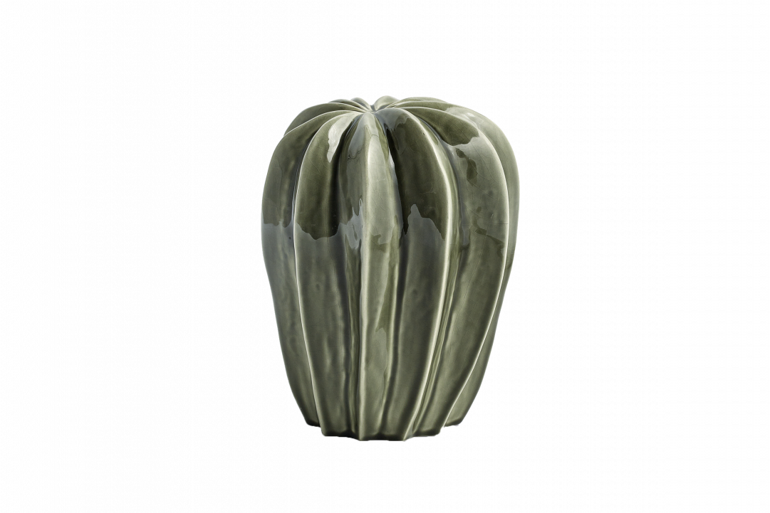 Cactus (1200x720), Png Download