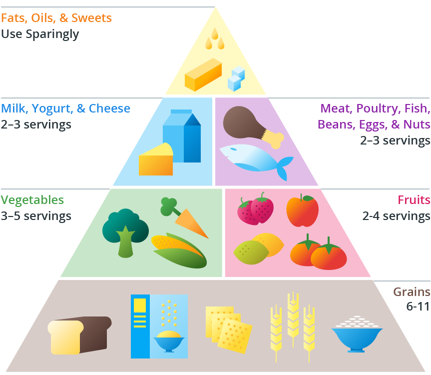 Food Pyramid Diagram (880x880), Png Download