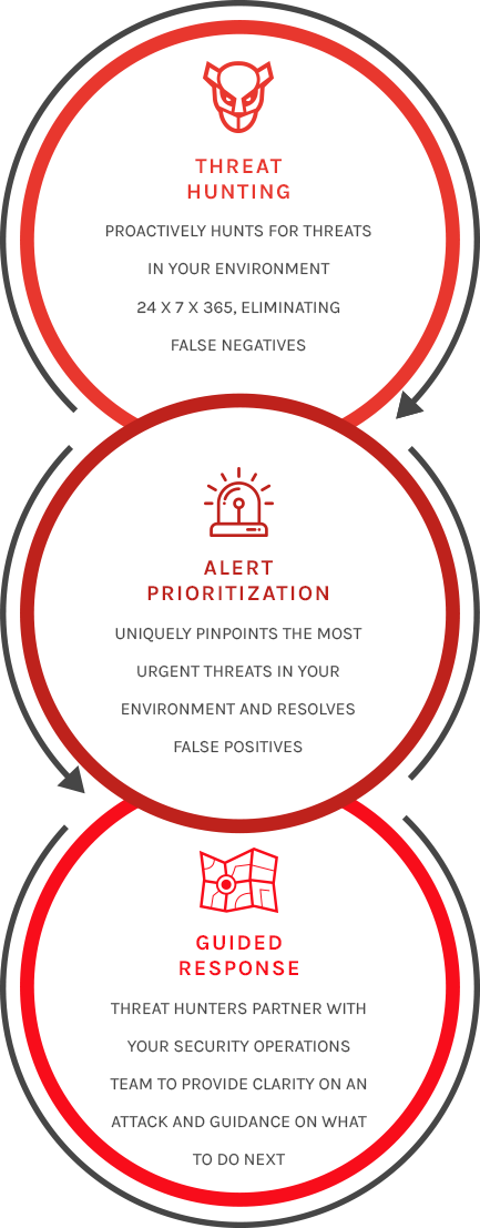 Falcon Overwatch - Key Benefits - " - Circle (433x1107), Png Download