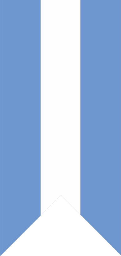 We Are Synonymous With Quality, Price And Advice Referred - Pattern (393x830), Png Download