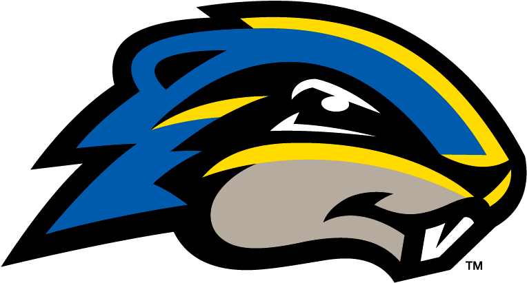 Bal Guess The Maryland College Mascots 009 - Goucher Gophers (786x436), Png Download