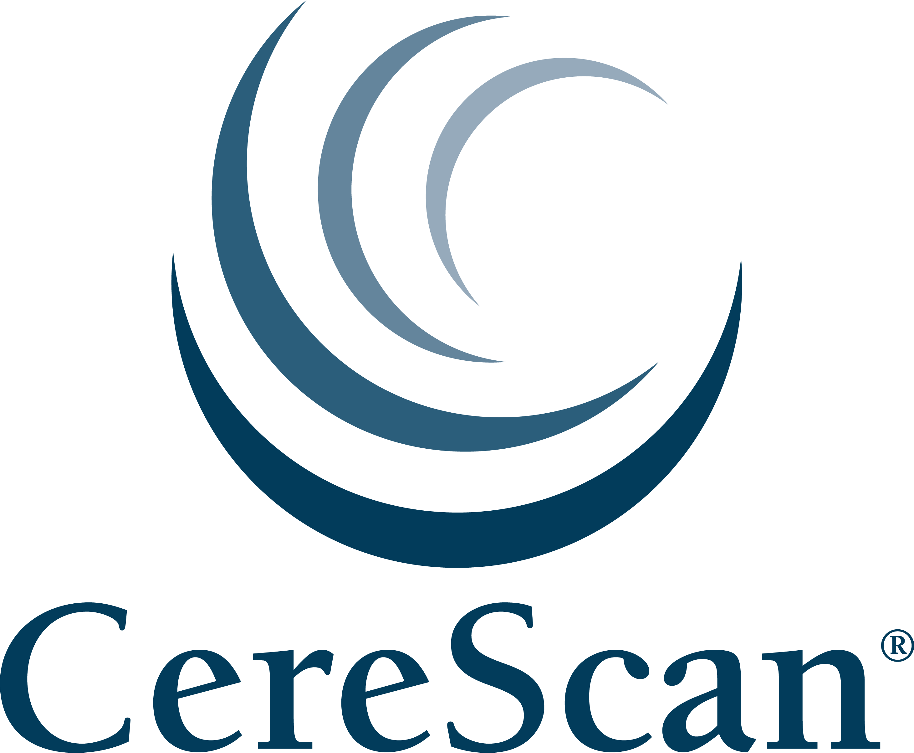 In Honor Of Veteran's Day Cerescan® Offers No Cost - Depelchin Children's Center (2921x2405), Png Download