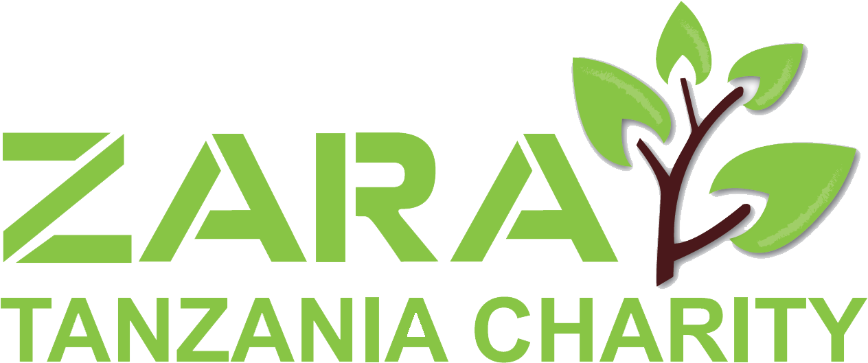Zara Charity Aims At Improving The Living And Working - Graphic Design (1264x529), Png Download