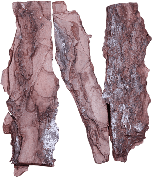 Bark Font - Lamb And Mutton (595x595), Png Download