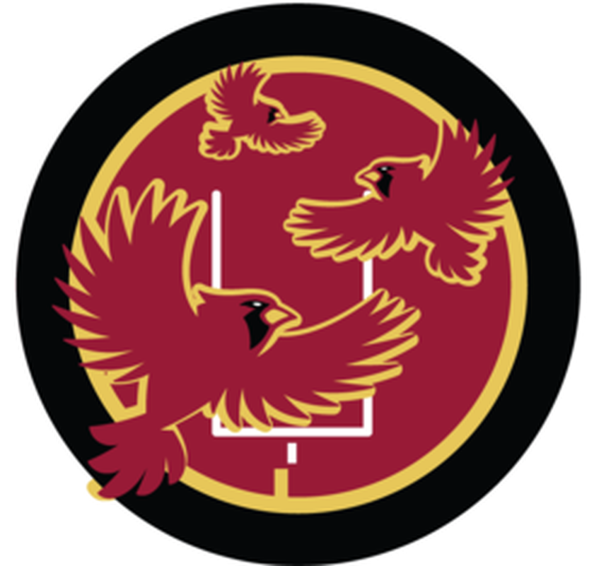 Arizona Cardinals Logo Png - Arizona Cardinals Sb Nation (1200x800), Png Download