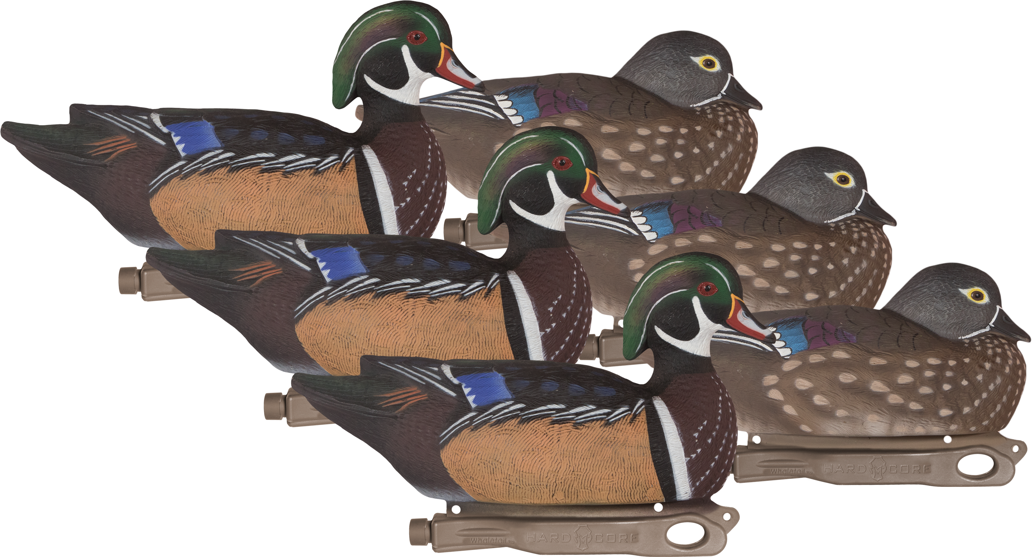 Rugged Series Wood Ducks - Wood Duck (3500x2000), Png Download