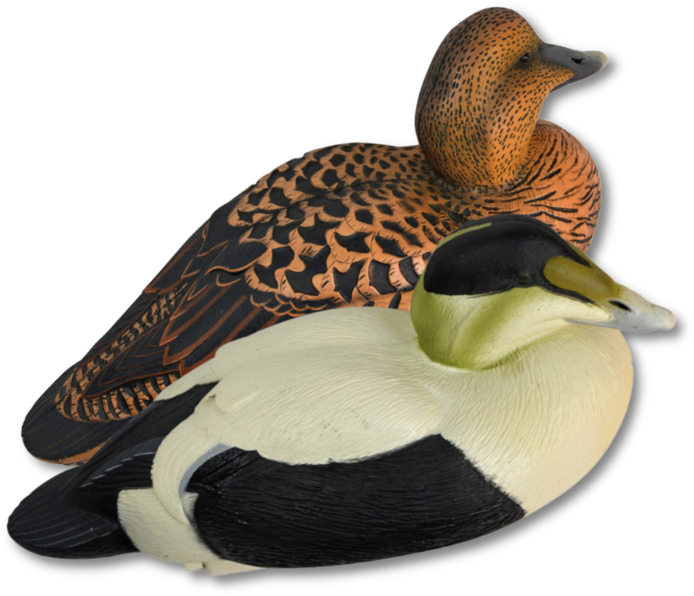 Image Of Ghg Pro-grade Eiders - Mallard (1000x1000), Png Download