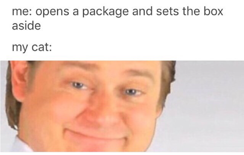 Author Cleanmemesposted On March 10, 2019 February - Its Free Real Estate Face (800x800), Png Download