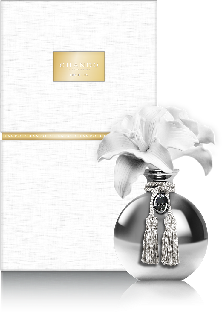 Still Life Photography (1200x1200), Png Download