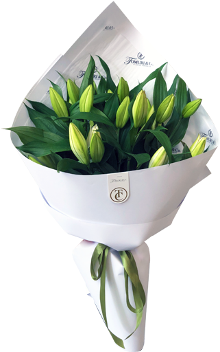 Tulip (550x600), Png Download