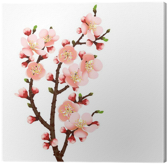 Cherry Blossom Branch Abstract Background Canvas Print - Cherry Blossom (400x400), Png Download