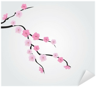 Cherry Blossom (400x400), Png Download
