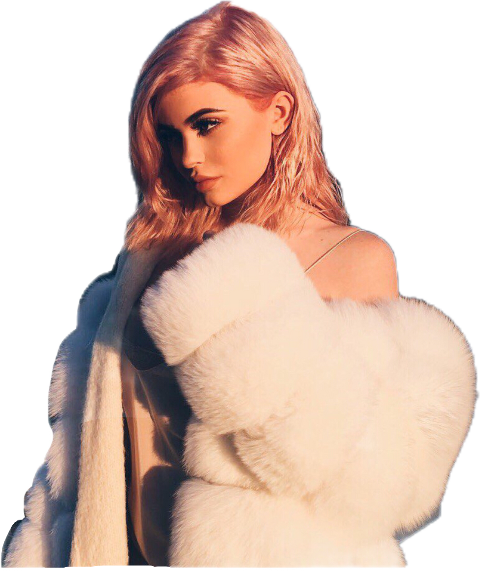 Kylie Jenner (480x571), Png Download