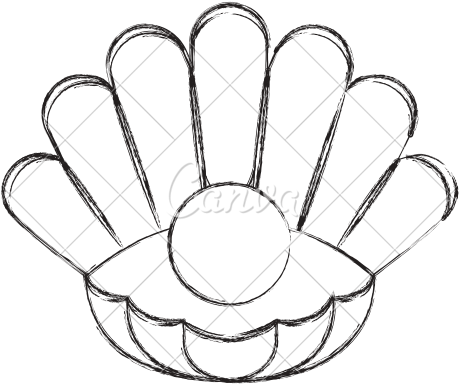 Pearl Shell Drawing At Getdrawings - Pearls Drawing (550x550), Png Download