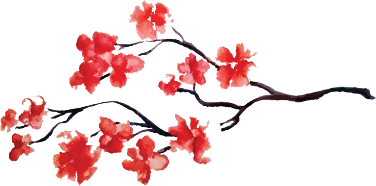 Eating Out - Red Cherry Blossom Flower (768x380), Png Download