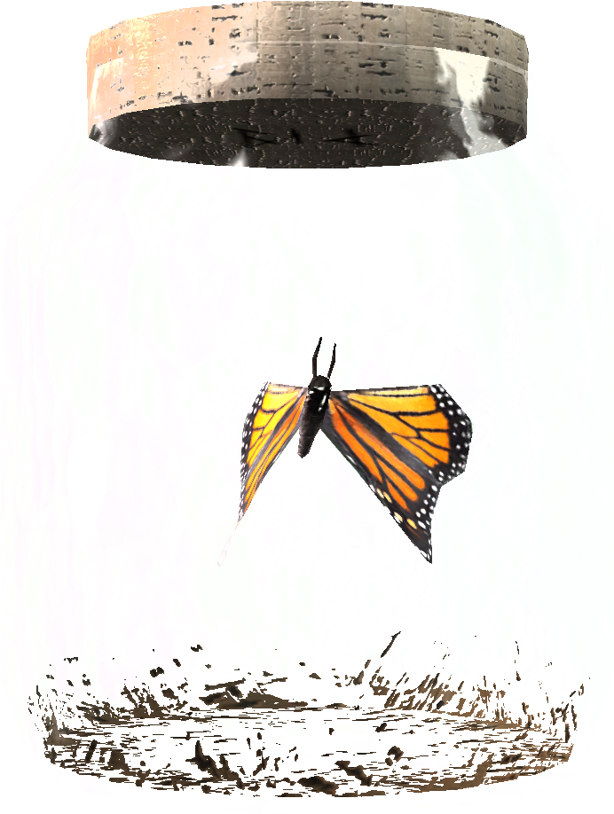 Tesv Butterfly In A Jar Crop - Skyrim Butterfly (940x940), Png Download