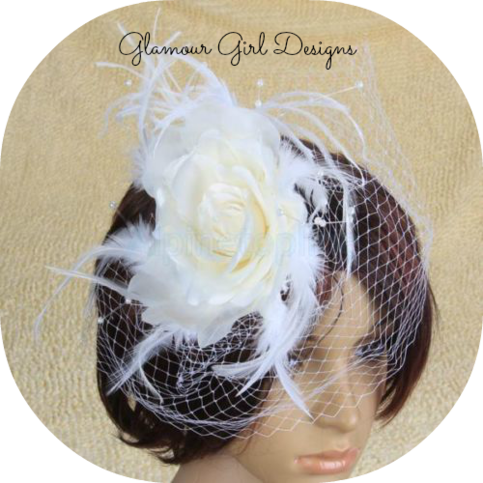 Wedding Veil Png Birdcage Wedding Veil In White Free - Flower And Feather Birdcage French Net Bridal Wedding (483x483), Png Download