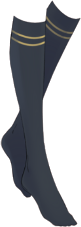 Nikki Student Sports Socks - Hockey Sock (309x546), Png Download