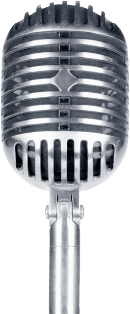 Public Speaking Tips For School Counselors - Microphone (395x676), Png Download