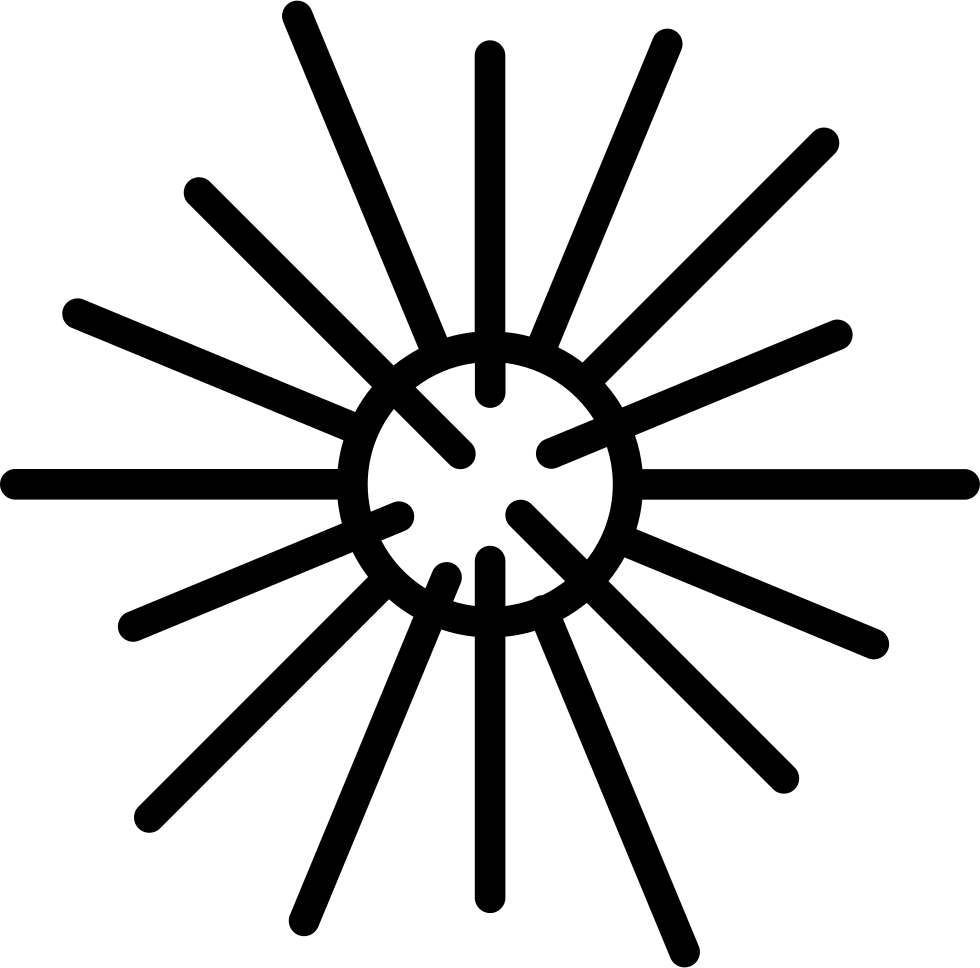 Sea Urchin - - Antique Wall Vent Cover (980x968), Png Download