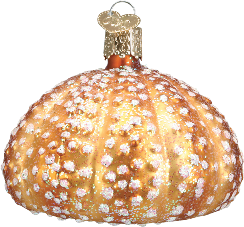 Sea Urchin - Sea Urchin Ornament (1024x1024), Png Download
