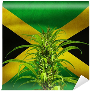 Flag Of Jamaica (400x400), Png Download