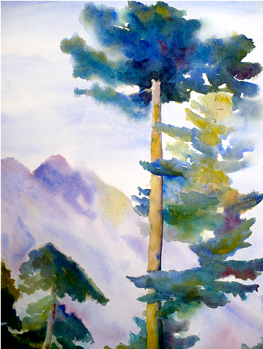 Mountain Tree - Tree (600x500), Png Download